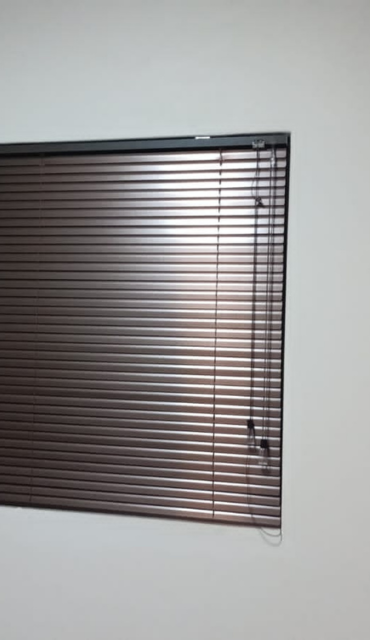 wvenetian-blinds-5